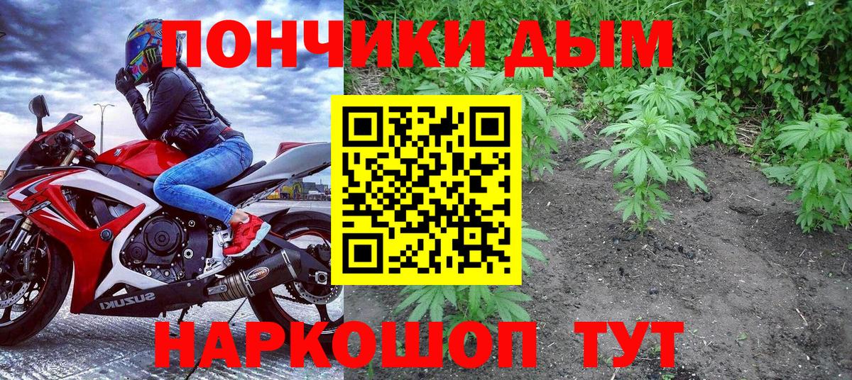 Шишки марихуана марихуана  Вход с VPN  Бийск  Канабис MAZAR 